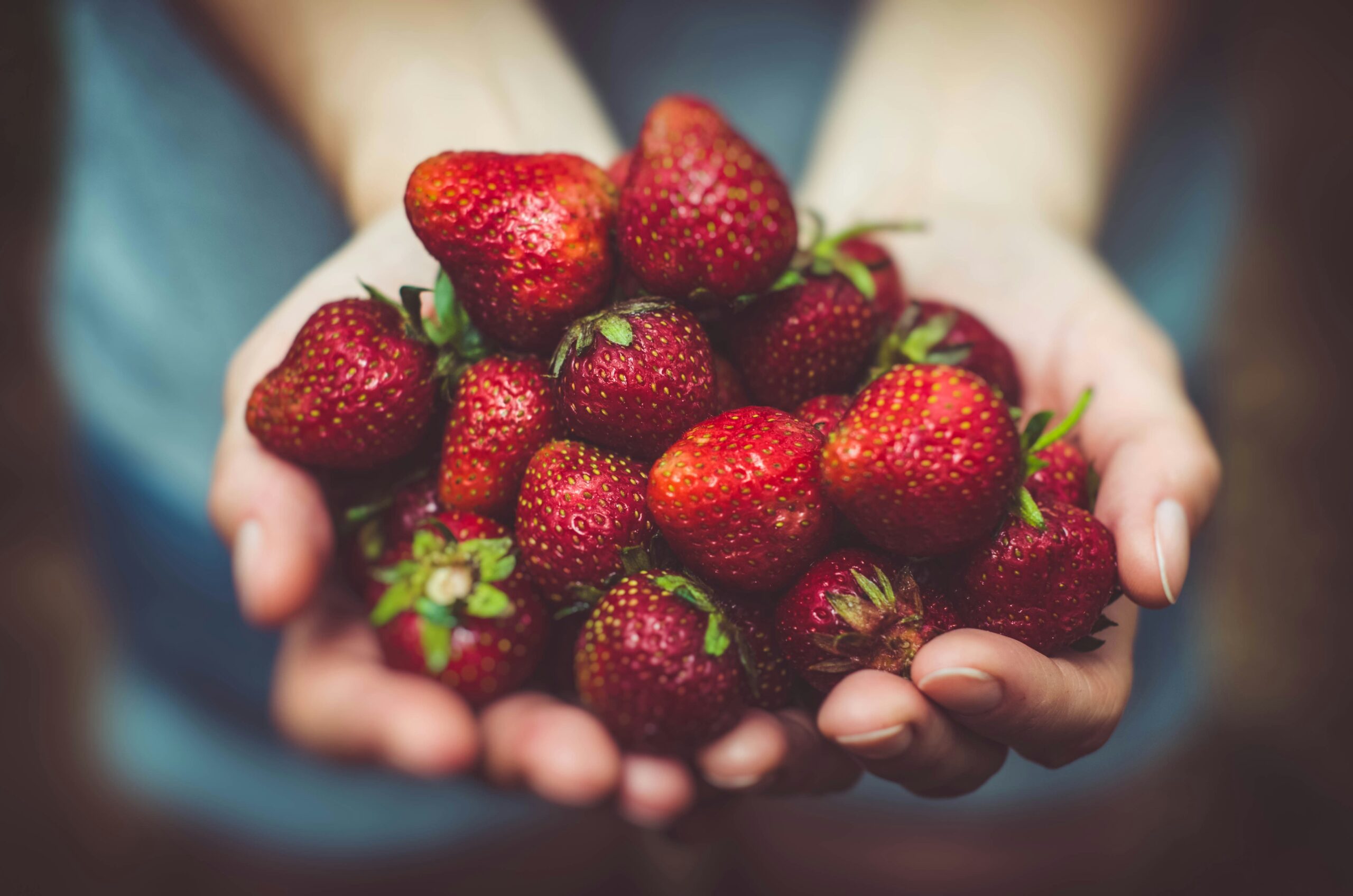 Nutrition and Performance in Competitive Sports