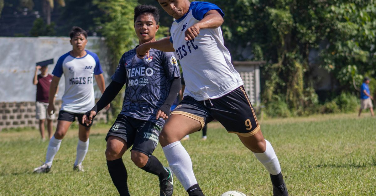 Community Impact of Youth Athletic Leagues